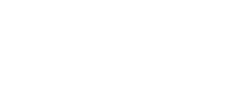 Duel