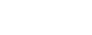 Duel